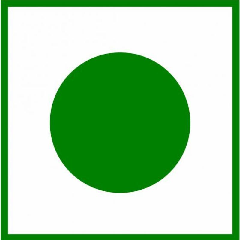 Strong Hing (સ્ટ્રોંગ હિંગ)