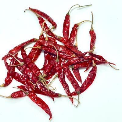 Teja (તેજા)