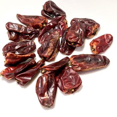 Gholar (ઘોલર)