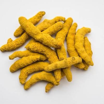 Haldar Selam (હળદર સેલમ)