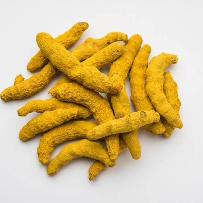 Haldar Selam (હળદર સેલમ)