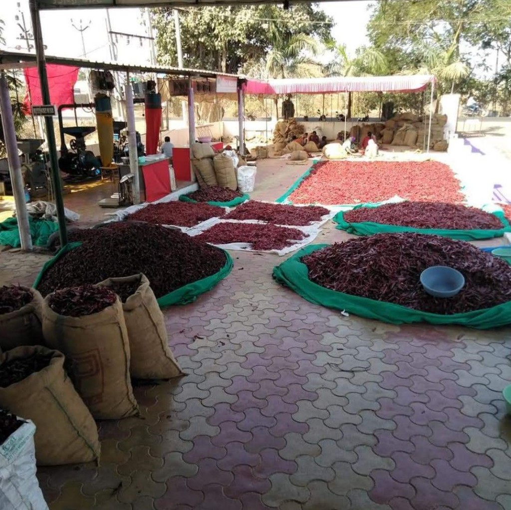 2017–2019 — પોતાની ઓળખ તરફ